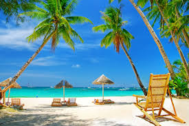 Palmiers Fond D Ecran Tropical Paysage Paradisiaque Exterieur