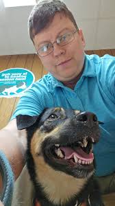 CCL injury in small breed dogs: treatment options?