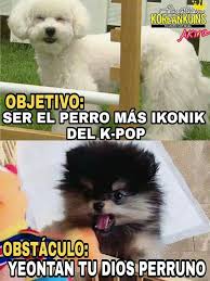 Alguien Me Dice Quien O De Quien Es El Perro Blanco Ambos Son Lindos Memes Divertidos Bts Memes Caras Memes Kpop