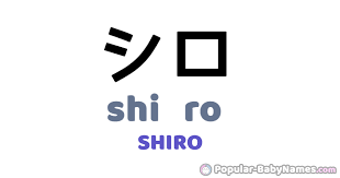 Shiro variant transcription of the shirou. Shiro In Japanese Katakana Hiragana Et Romaji Shiro ã‚·ãƒ­ ã—ã‚