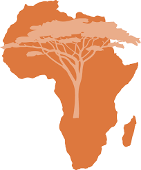 Image result for Linderniella gracilis