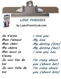 I Love You In French French Flashcards Basic French Words French Language