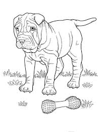 30 Free Printable Cute Dog Coloring Pages Depicted here are both puppies in realistic and animated settings for.
