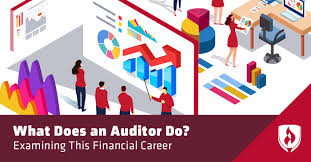 what does an auditor do examining this financial career