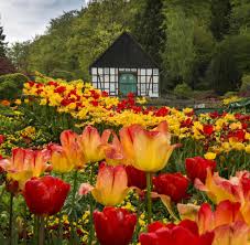Welche Botanischen Garten Noch Offen Haben Welt