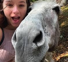 Schimmel in der Metro — Lesen oder nicht lesen Neigungssport —  Biodiversität und Stadtklima Blick in die Zukunft — Stöck