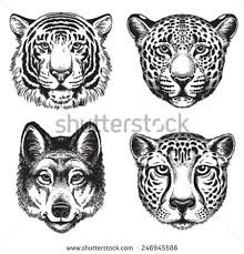 Black And White Vector Line Drawings Of Wild Animal Faces Cheetah Leopard Tiger And Wolf Cara De Tigre Dibujo Tatuaje Guepardo Dibujo Tigre