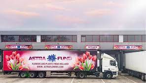 When you are searching for a flower export company, there are some criteria you should check. Astra Fund Holland Bv Flowers From Holland Wholesale