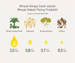 Kelapa sawit adalah jenis tumbuhan yang termasuk dalam genus elaeis dan ordo arecaceae. Peran Penting Kelapa Sawit Sebagai Sumber Pangan Dunia Pt Sinar Mas Agro Resources And Technology Tbk Pt Smart Tbk