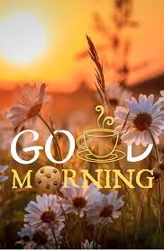 Morning is the period from sunrise to noon. 50 å•å€™morningèŠ± Ideas