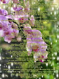 Pin On Ahadith Narrations