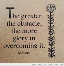 I Like To Quote Overcoming Quotes Overcoming Obstacles Quotes Obstacle Quotes
