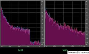 Check spelling or type a new query. Razlike IzmeÄ'u Wav I Mp3 2021 Tehnologija