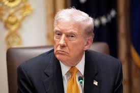 Saluting the legendary life of Spencer Lancaster, the sunshine