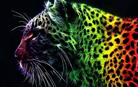 خلفيات 4k اروع خلفيات الدقه والجودة والتميز حبيبي