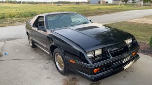 Image result for Gold 1986 Fleet