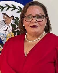 title UDP Leadership Responds to Shyne Barrow's Recent Moves, Reaffirming  Commitment to Party and Democracy Belmopan, Belize