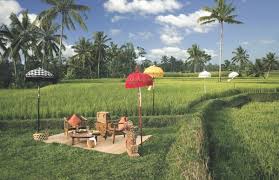 Association of women contractors scholarship: Jaw Dropping Ubud Hanging Gardens In Bali
