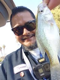 Lake crappies hit different. ACC Crappie Stix Lew's First Cast Bait &  Tackle