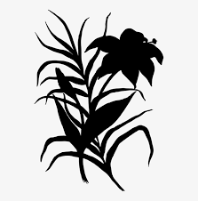 Learn about different types of orange flowers, see beautiful photos and get some gardening tips at flowerglossary.com. Flower Petal Silhouette Drawing Computer Icons Flowers Silhouette Clipart Transparent Transparent Png 535x750 Free Download On Nicepng
