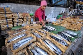 Pakan berbentuk emulsi, bahan terlarutnya tidak menyatu dengan pelarutnya karena pakan suspensi mengandung partikel jika anda mencari akan pengertian pakan basah dan pakan kering ikan, informasi di atas sangat membantu sobat dalam membuka usaha serta. Jenis Ikan Yang Paling Baik Untuk Pengobatan Apa Saja Republika Online