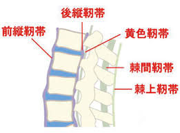 タウンニュース