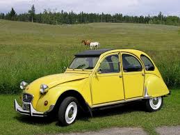 Image result for Jaune Lacerta 2011 Citroen