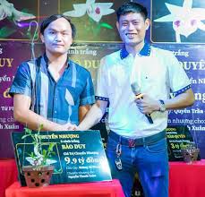 Lan 5 cánh trắng bảo duy. Ong Trum Lan Ä'á»™t Biáº¿n Sá»Ÿ Há»¯u 3 Cháº­u Lan 32 Tá»· Ly Giáº£i Nguyen Nhan Nhá»¯ng Cháº­u Lan Gia Tiá»n Tá»·