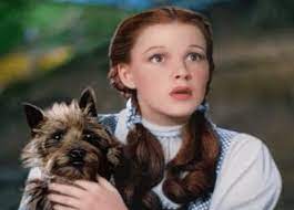 Check spelling or type a new query. Toto I Ve A Feeling We Re Not In Kansas Anymore Equities News