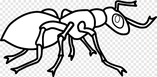 40+ farm coloring pages free printable for printing and coloring. Ant Colony Coloring Book Hey Little Ant Child Ants Child Insects Png Pngegg