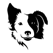 Wandtattoo Border Collie Bild 3 Dog Outline Dog Silhouette Collie Dog