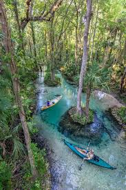 Nearby kelly park is a nice place to swim with a. Rock Springs Sorrento Florida Florida Springs