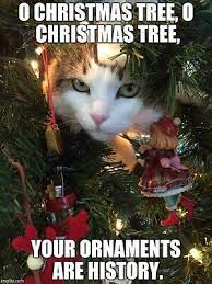 Funny Christmas Cat Meme O Christmas Tree Fridge Magnet 5 X 3 5 Ebay