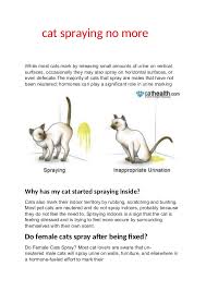Female cats will be obnoxious Cat Spraying No More
