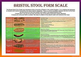 Bristol Stool Scale Laminated Health Chart A3