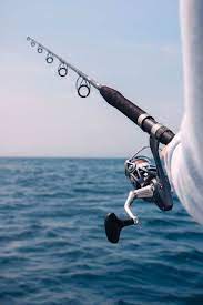 23 Short Fishing Captions For Instagram Fish Pictures Ask For Adventure