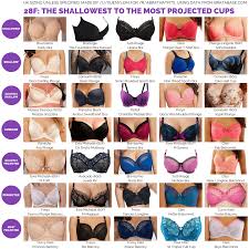Guide] 28F: The shallowest to the most projected cups. Full guide/list in " Bra Data By Size" section (->link in sidebar) : r/ABraThatFits
