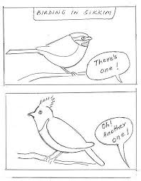 Included are kittens, big cats, puppies, sea animals, fish, horses, bunny rabbits, alligators and other reptiles, baby chicks, birds, ducks, penguins, and more! Birding In Sikkim Courtesy Madhavi Winged Beauties