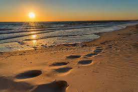 Desert, landscape, dune, sand, footprints. 6 478 Footprints Sunset Photos Free Royalty Free Stock Photos From Dreamstime