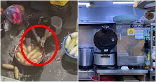 오토바이 면허에 관한 궁금증 '내가 가진 2종보통 자동차면허로 내가 사려는 125cc 오토바이 운전이 가능한가?' 의 질문에 답하려한다. G7pxoq53m2recm