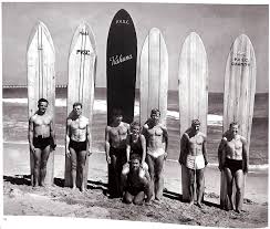 Image result for foto surfínie