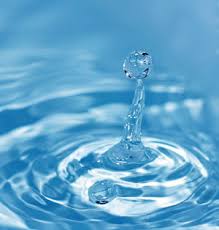 الشيخ الصفار يدعو لترشيد استهلاك الماء موقع الشيخ حسن الصفار