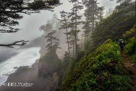 West Coast Trail Pacific Rim National Park Vancouver Island Bc By Bruce Walter West Coast Trail Pacific Rim National Park Colorado Hiking