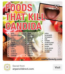 Foods That Kill Candida Yeast Candida Diet Candida Diet Recipes Candida Cleanse