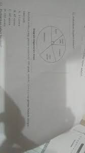 Pada teori ini, dapat digunakan pada diagram lingkaran dalam bentuk derajat dan dalam bentuk persen. Cara Menghitung Diagram Lingkaran Brainly Co Id