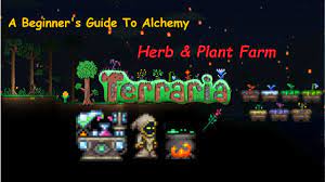 After you've finished reading the entirety of the guide, i'd appreciate it if you could rate and comment on the guide in the section below, or via steam. Terraria Plant Farm A Beginner S Guide To Alchemy Plants Herbs Part 1 Youtube