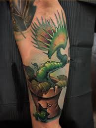 Explore the latest videos from hashtags: Venus Flytrap Timmyb At Niteowl Tattoo Noho Mass Tattoos