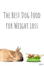 Pin On Dog Weight Loss Foods
