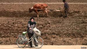 Image result for north korea's failing economy