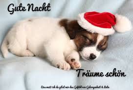 Mit einem lieben gruß vor dem einschlafen wünscht man eine gute nacht und schöne träume, für die freunde, die arbeitskollegen oder deinen schatz. Gute Nacht Gb Pic Sleeping Dogs Sleeping Puppies Dog Sleeping Positions